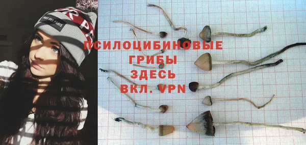 гашик Абдулино